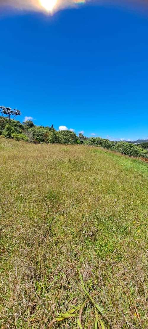 Lote en venta en Vía Las Palmas, Envigado, 6400 m² · foto 4 de 24