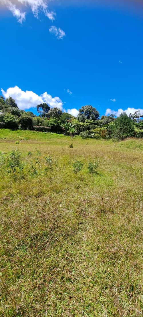 Lote en venta en Vía Las Palmas, Envigado, 6400 m² · foto 5 de 24