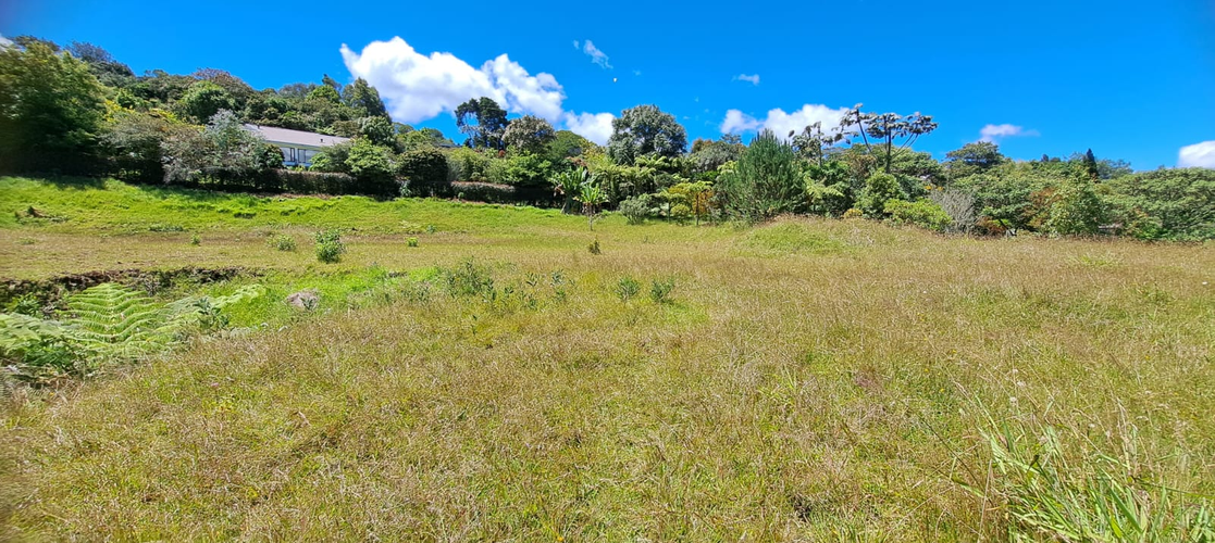 Lote en venta en Vía Las Palmas, Envigado, 6400 m² · foto 6 de 24