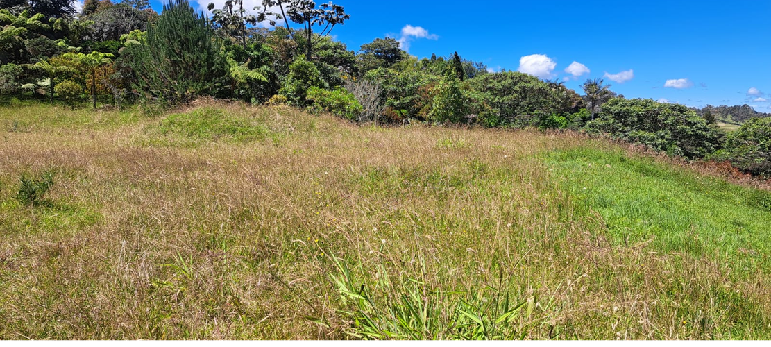 Lote en venta en Vía Las Palmas, Envigado, 6400 m² · foto 7 de 24