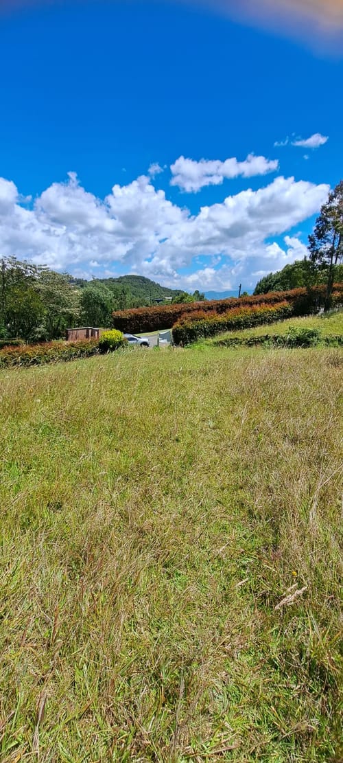 Lote en venta en Vía Las Palmas, Envigado, 6400 m² · foto 8 de 24