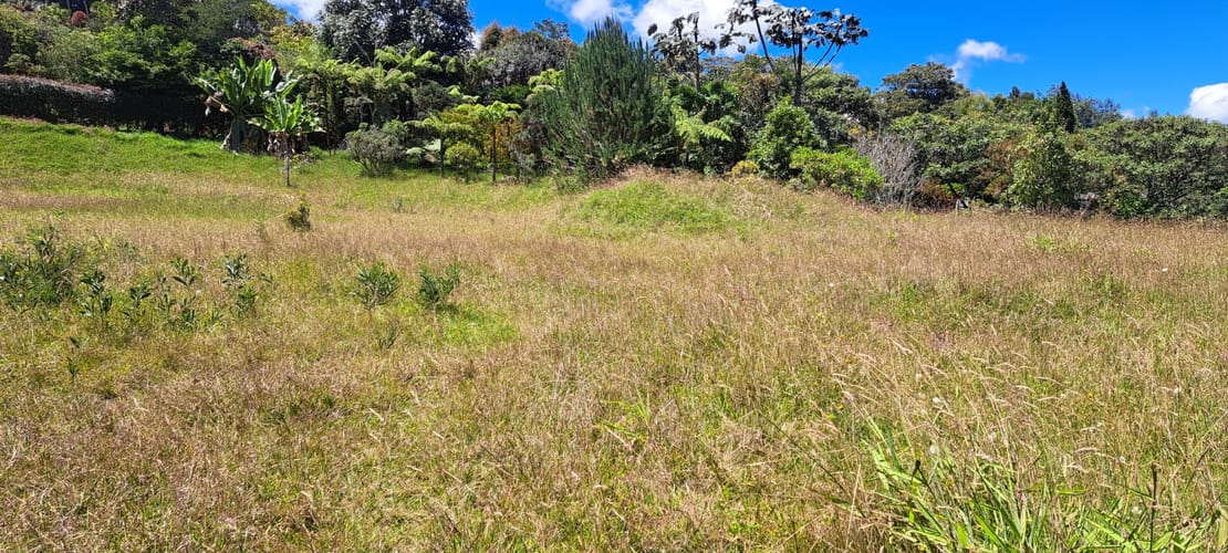 Lote en venta en Vía Las Palmas, Envigado, 6400 m² · foto 9 de 24