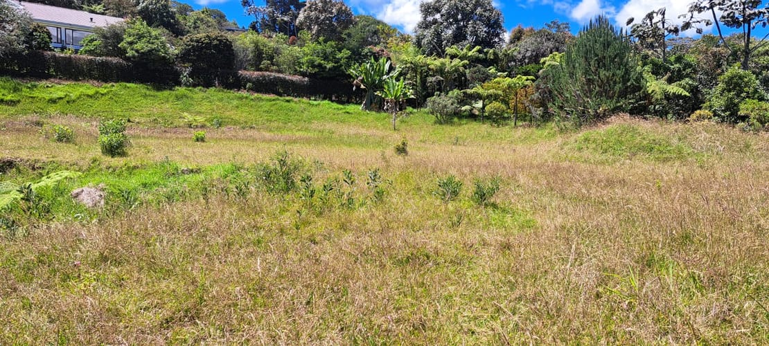 Lote en venta en Vía Las Palmas, Envigado, 6400 m² · foto 10 de 24