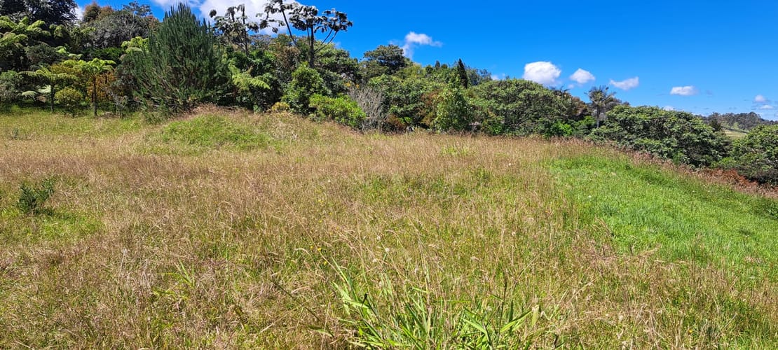 Lote en venta en Vía Las Palmas, Envigado, 6400 m² · foto 11 de 24
