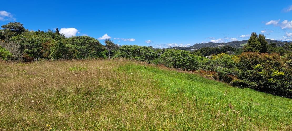Lote en venta en Vía Las Palmas, Envigado, 6400 m² · foto 15 de 24