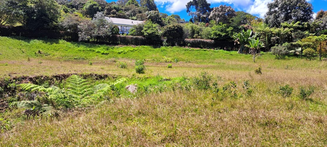 Lote en venta en Vía Las Palmas, Envigado, 6400 m² · foto 23 de 24