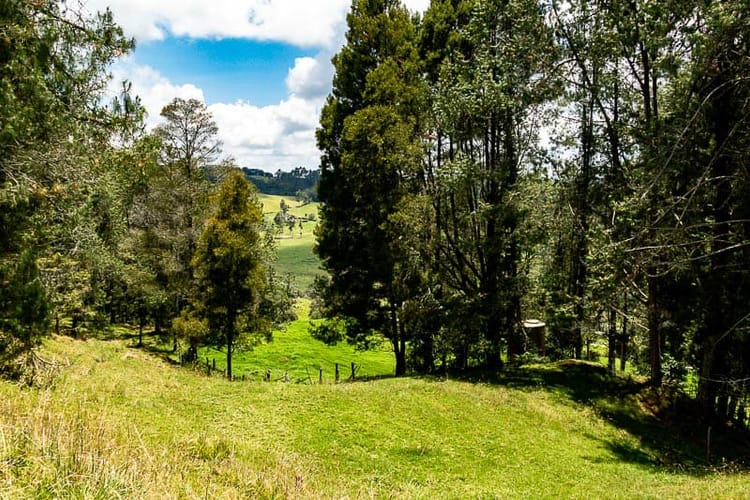 Lote en venta en Las Palmas, Envigado, 5392 m² · foto 2 de 12