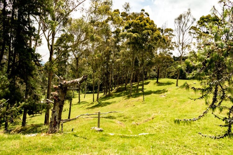 Lote en venta en Las Palmas, Envigado, 5392 m² · foto 3 de 12