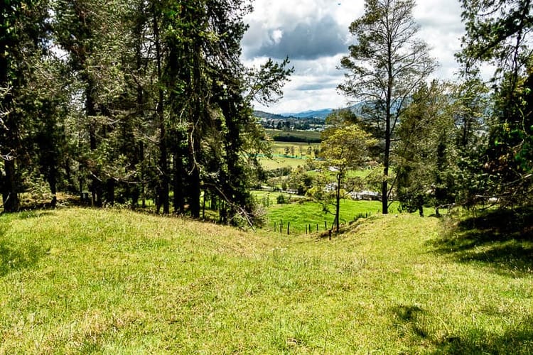 Lote en venta en Las Palmas, Envigado, 5392 m² · foto 4 de 12