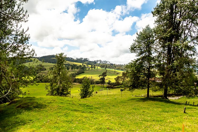 Lote en venta en Las Palmas, Envigado, 5392 m² · foto 5 de 12