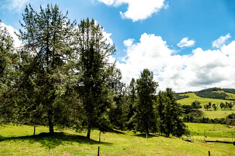 Lote en venta en Las Palmas, Envigado, 5392 m² · foto 7 de 12