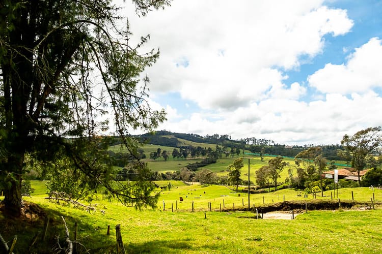 Lote en venta en Las Palmas, Envigado, 5392 m² · foto 10 de 12