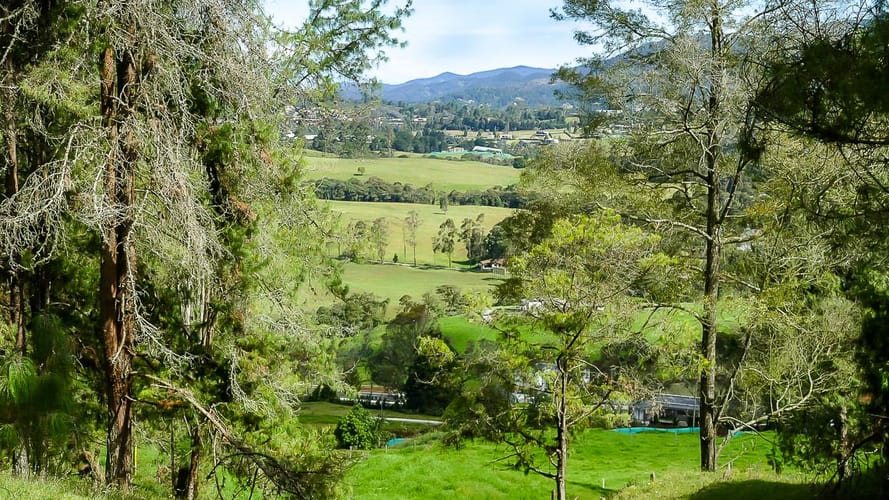 Lote en venta en Las Palmas, Envigado, 5392 m² · foto 12 de 12