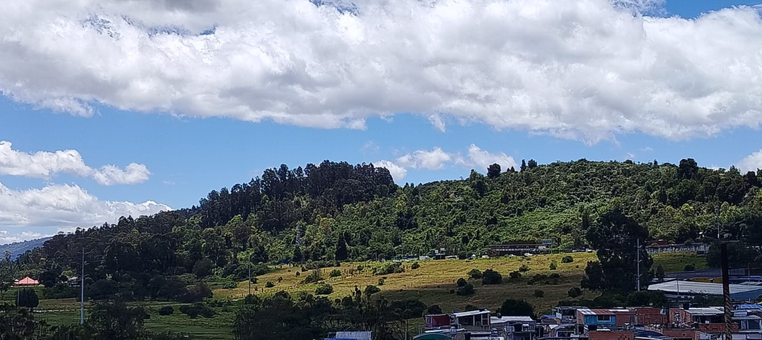 Apartamento en venta en Suba Salitre, Bogotá · foto 18 de 21