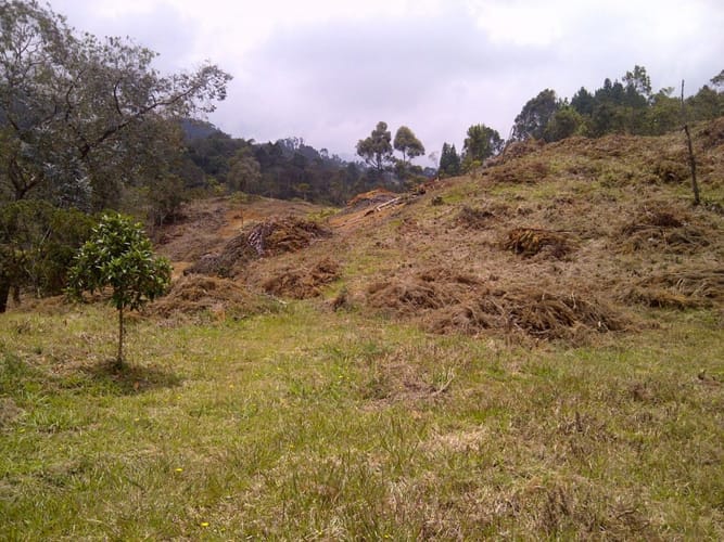 Lote en venta en Vía Las Palmas, Envigado, 7331 m² · foto 2 de 15