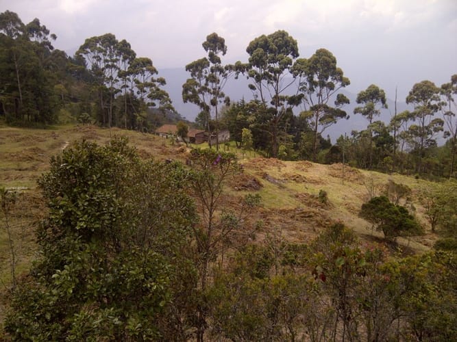 Lote en venta en Vía Las Palmas, Envigado, 7331 m² · foto 7 de 15