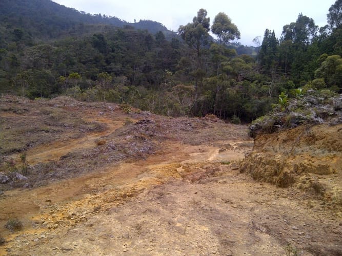 Lote en venta en Vía Las Palmas, Envigado, 7331 m² · foto 12 de 15