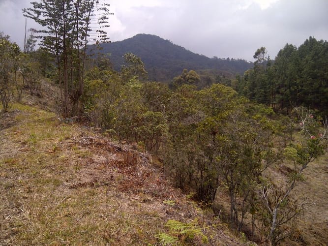 Lote en venta en Vía Las Palmas, Envigado, 7331 m² · foto 15 de 15