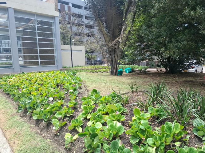 Apartamento de 1 alcoba en venta en Ferrocaja Fontibon, Bogotá, 42 m² · foto 19 de 24