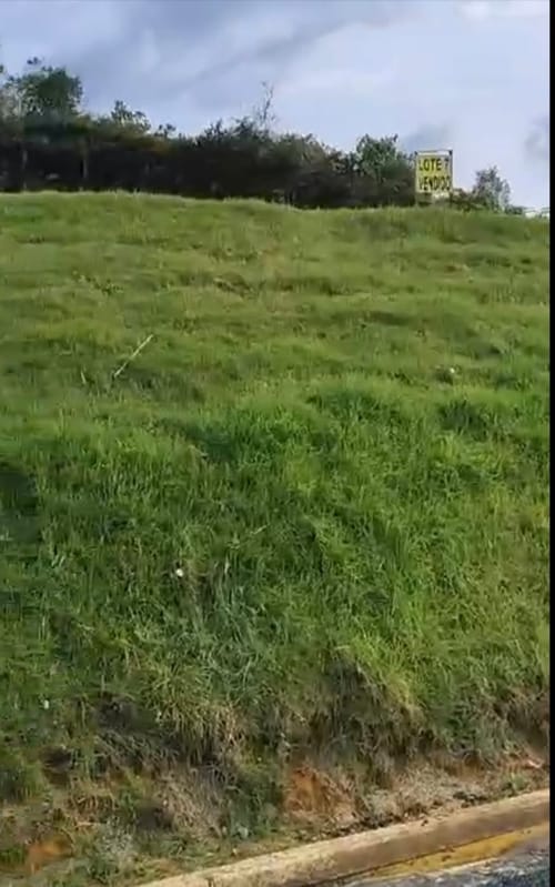 Lote en venta en La Mejia, Guarne, 2000 m² · foto 3 de 20
