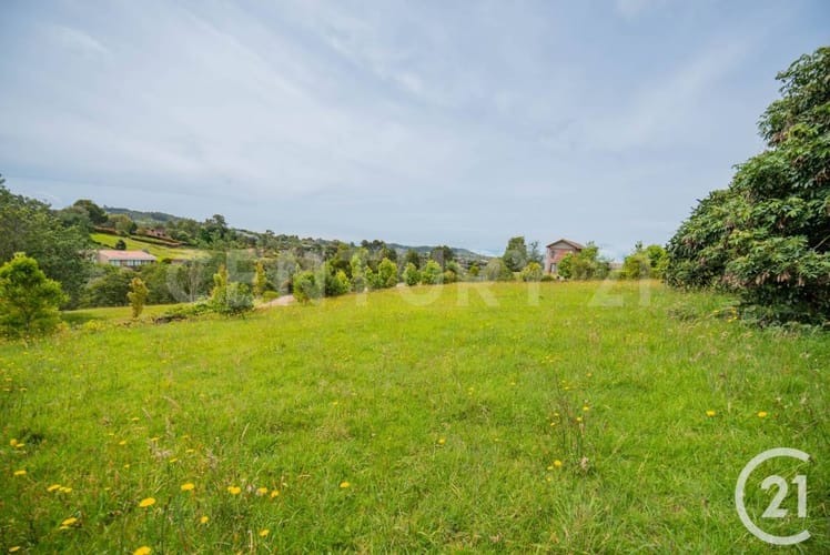 Lote en venta en Las Palmas, Envigado, 2045 m² · foto 2 de 7