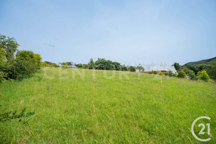 Lote en venta en Las Palmas, Envigado, 2045 m² · foto 4 de 7