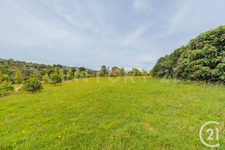 Lote en venta en Las Palmas, Envigado, 2045 m² · foto 6 de 7