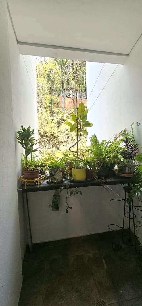 Apartamento de 4 alcobas en venta en Juanambu, Cali, 169 m² · foto 11 de 24
