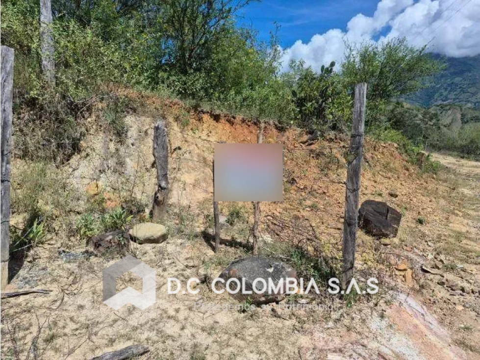Land in Paso real for Sale - 2