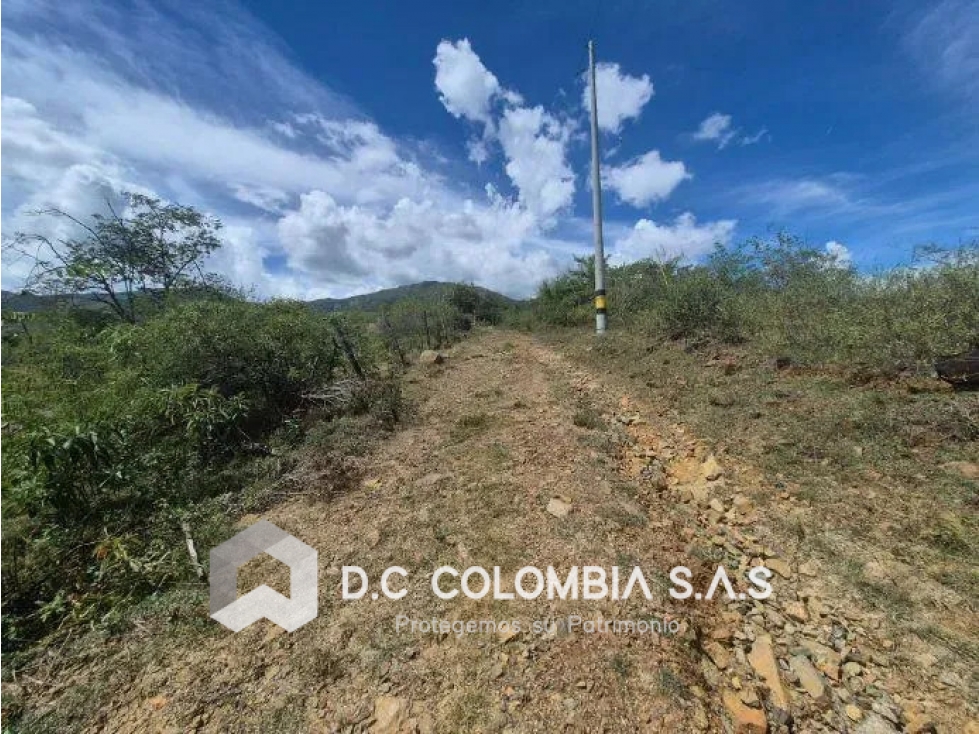 Land in Paso real for Sale - 3