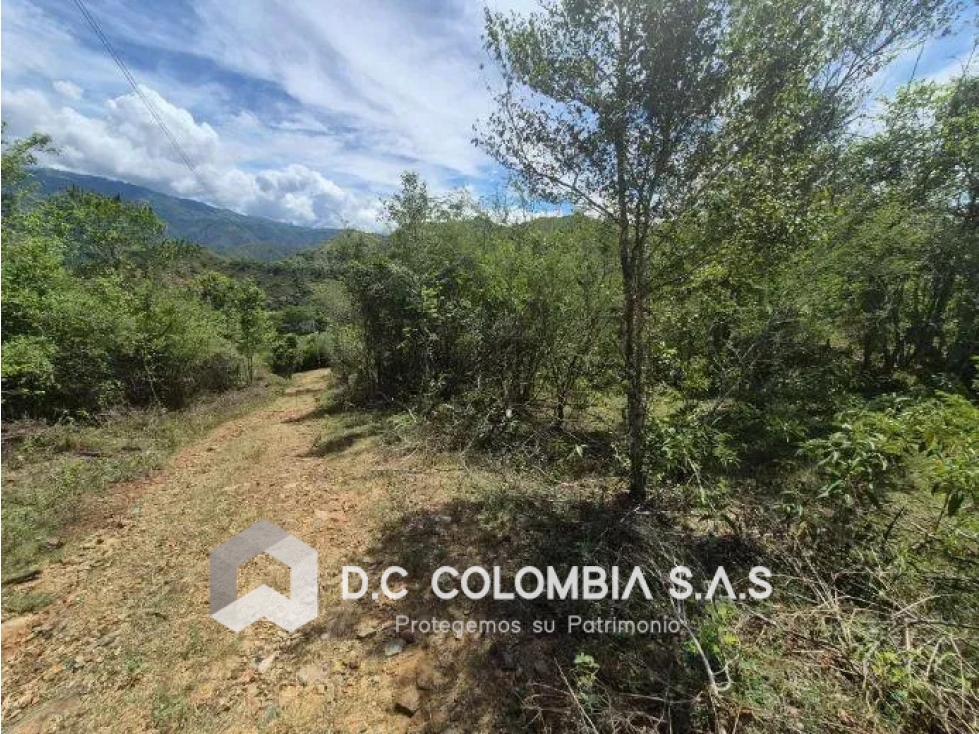 Land in Paso real for Sale - 4