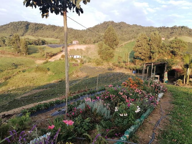 Casa de 3 alcobas en venta en El Mazorral, El Carmen de Viboral, 100 m² · foto 8 de 17