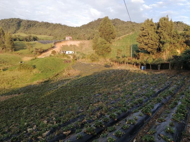 Casa de 3 alcobas en venta en El Mazorral, El Carmen de Viboral, 100 m² · foto 9 de 17
