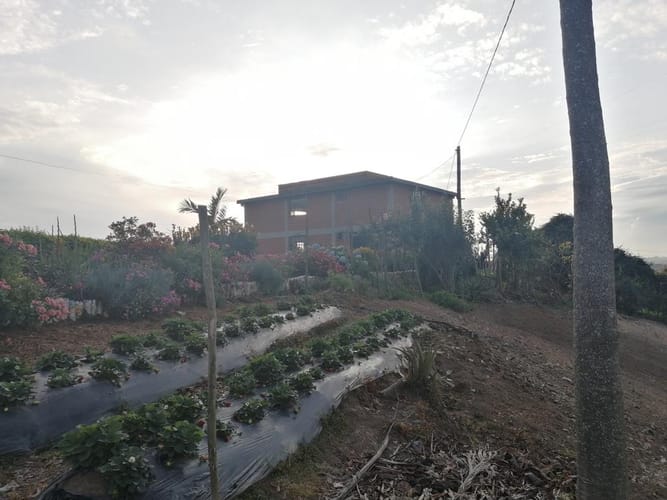 Casa de 3 alcobas en venta en El Mazorral, El Carmen de Viboral, 100 m² · foto 11 de 17