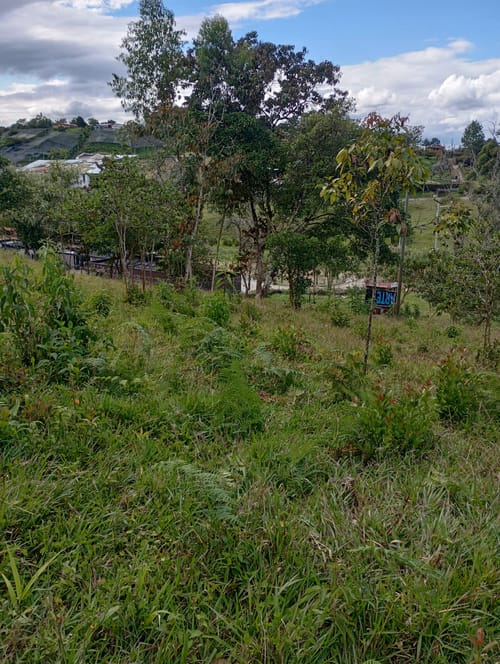 Lote en venta en Camargo, El Carmen de Viboral, 3333 m² · foto 4 de 19