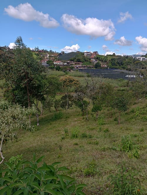 Lote en venta en Camargo, El Carmen de Viboral, 3333 m² · foto 6 de 19