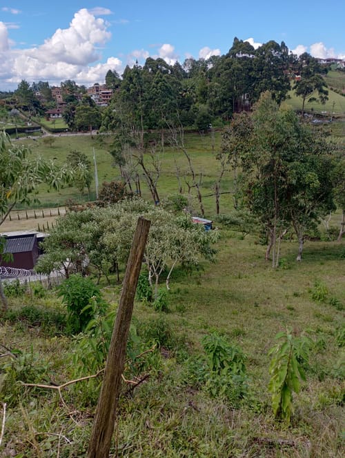 Lote en venta en Camargo, El Carmen de Viboral, 3333 m² · foto 8 de 19