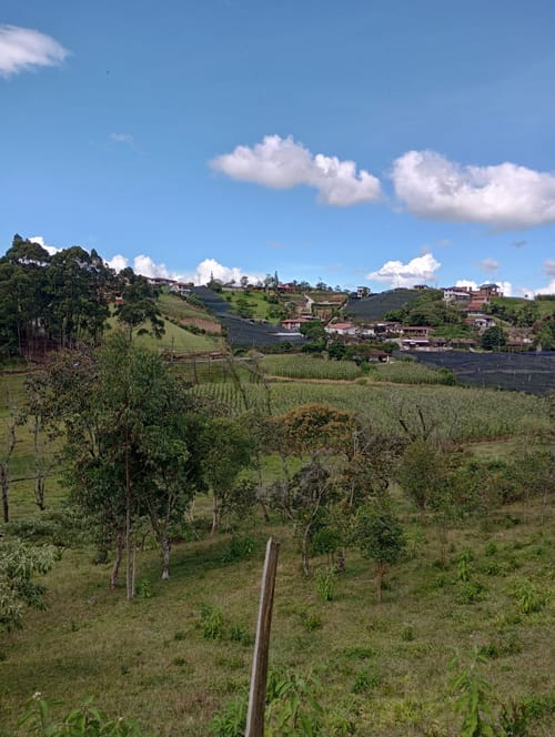 Lote en venta en Camargo, El Carmen de Viboral, 3333 m² · foto 9 de 19