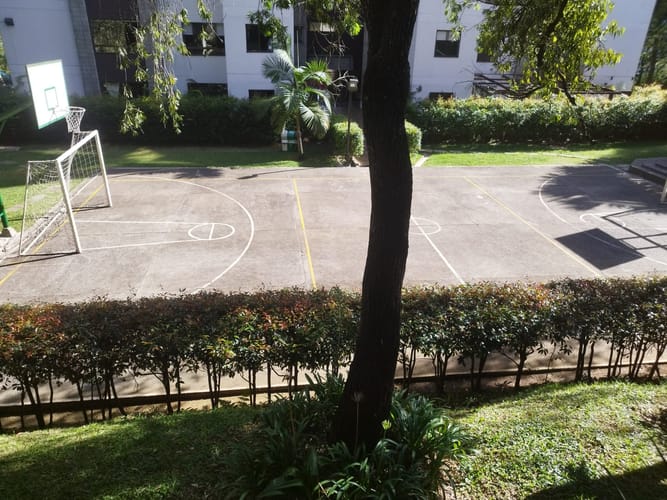 Apartamento de 3 alcobas en venta en El Poblado, Medellín, 202 m² · foto 15 de 18