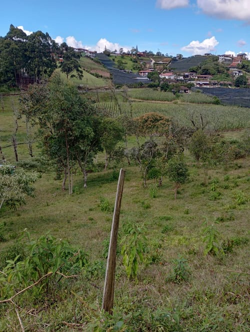 Lote en venta en Camargo, El Carmen de Viboral, 3333 m² · foto 11 de 19