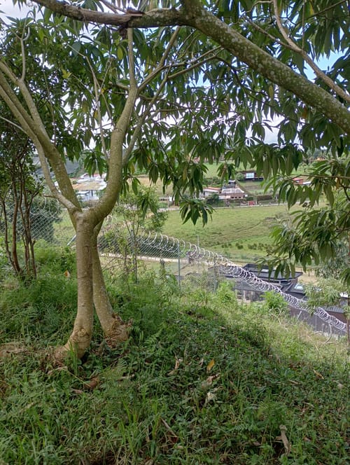 Lote en venta en Camargo, El Carmen de Viboral, 3333 m² · foto 12 de 19