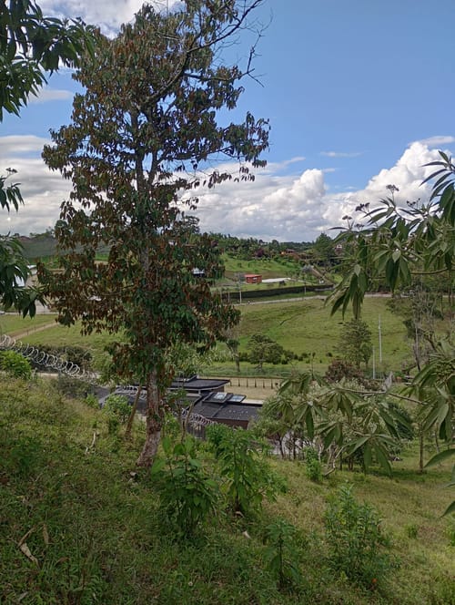Lote en venta en Camargo, El Carmen de Viboral, 3333 m² · foto 13 de 19