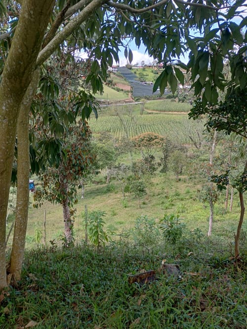Lote en venta en Camargo, El Carmen de Viboral, 3333 m² · foto 14 de 19