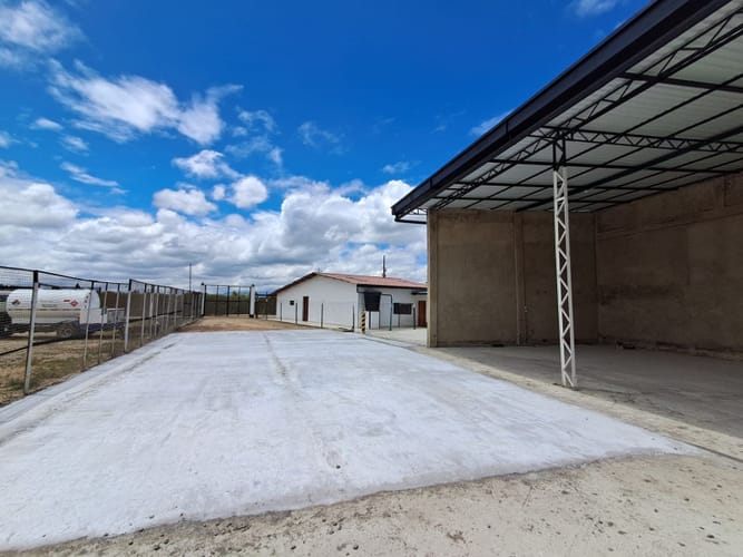 Bodega en arriendo en Boyero, Madrid, 1200 m² · foto 3 de 12