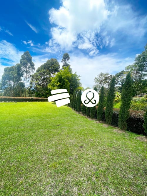 Lote en venta en La Sonadora, El Carmen de Viboral · foto 4 de 6