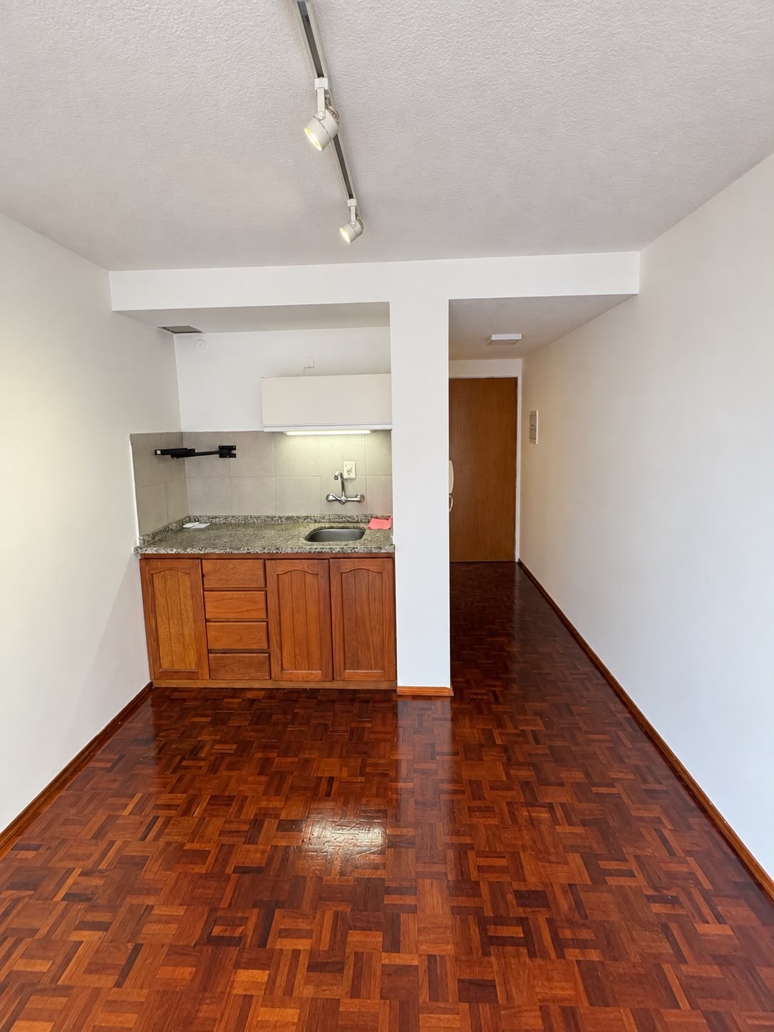 MONOAMBIENTE PUNTA CARRETAS PISO 4 CONTRAFRENTE · Foto 4
