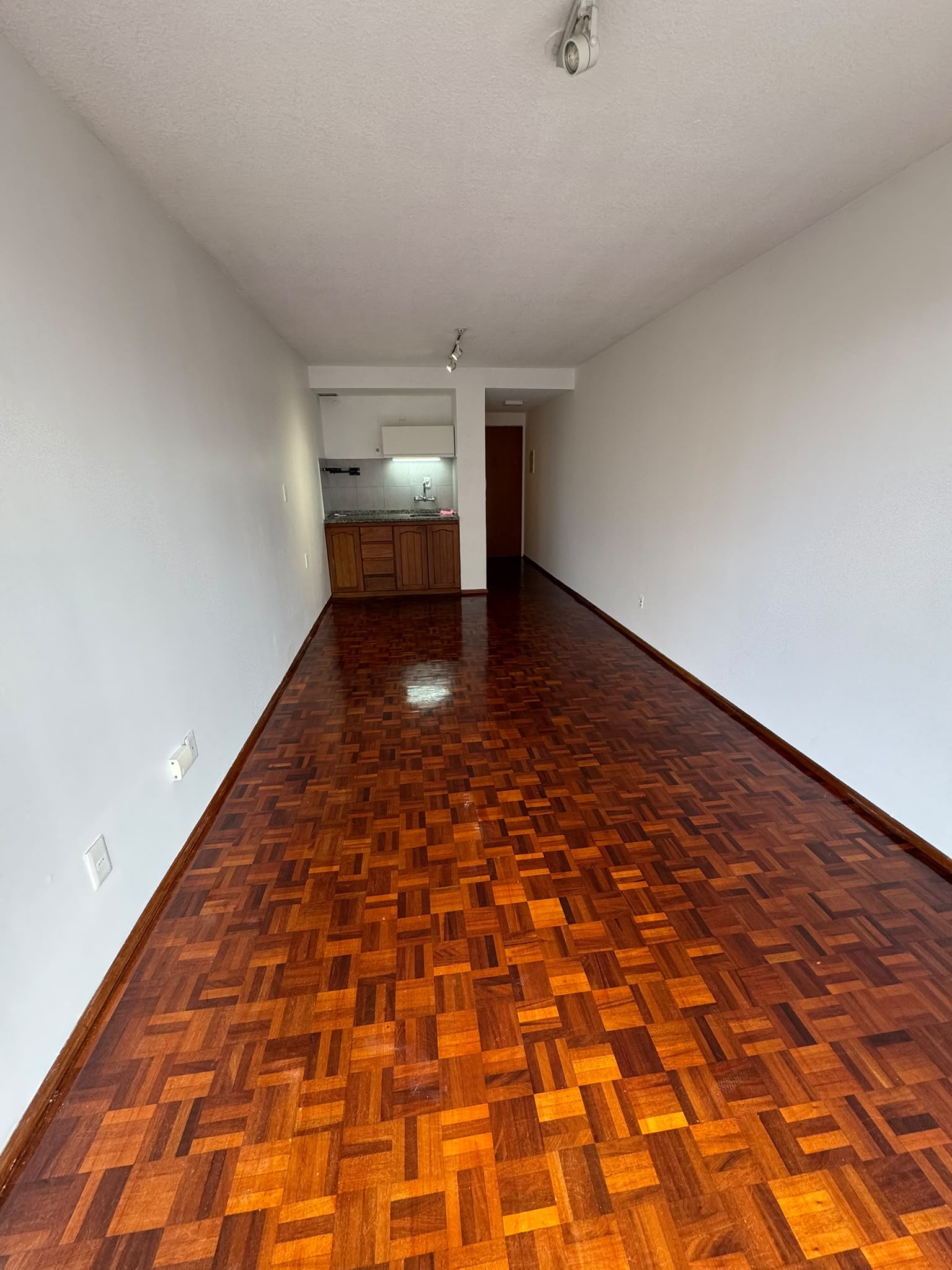 MONOAMBIENTE PUNTA CARRETAS PISO 4 CONTRAFRENTE · Foto 11