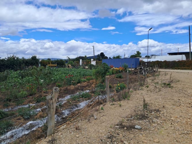 Lote en venta en Los Arboles, Madrid, 9300 m² · foto 3 de 8