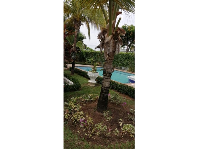 Casa de 4 alcobas en venta en La Libertad, Neiva, 300 m² · foto 8 de 18