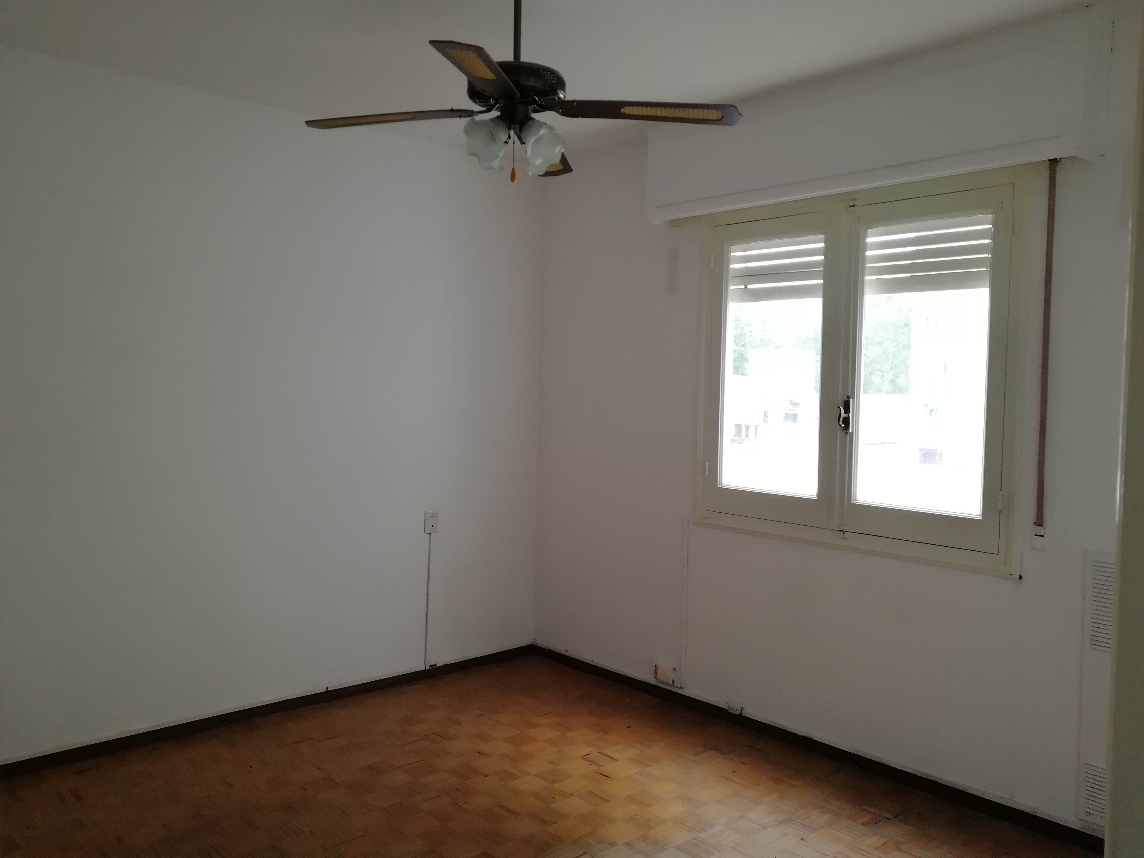 Apartamento en Alquiler! 2 Dormitorios Centro · Foto 12